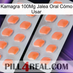 Kamagra 100Mg Jalea Oral Cómo Usar 27